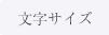 文字サイズ