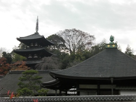 奈良県当麻寺②