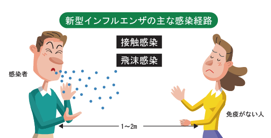 新型インフルエンザの主な感染経路（接触感染、飛沫感染）