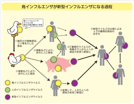 図1：　新型インフルエンザ等対策についてパンフレットより引用